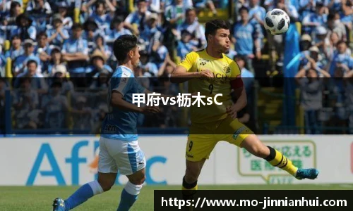 甲府vs枥木sC